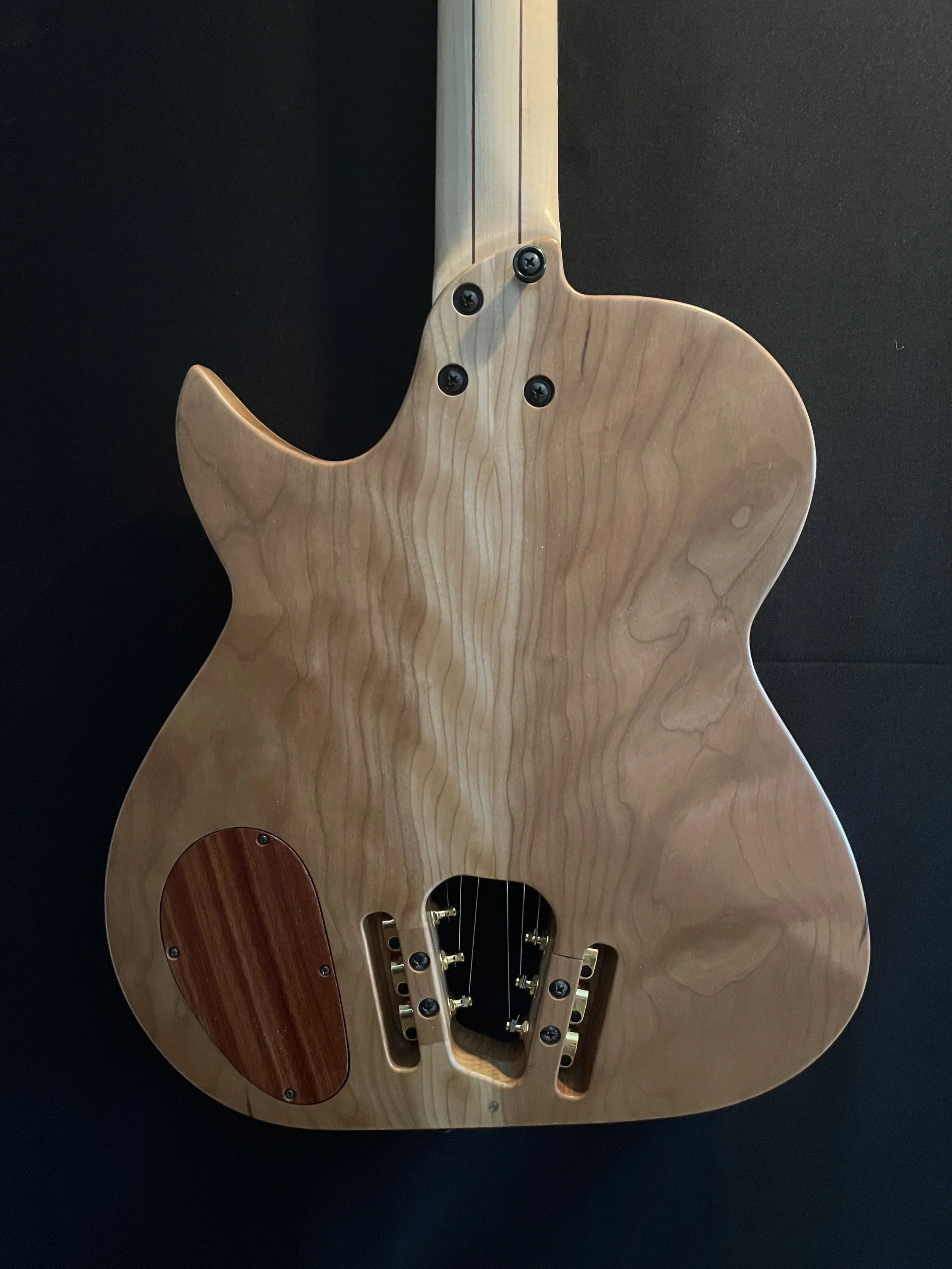 NightCat 3.0 #5350 — Rossco Wright Guitar Builder